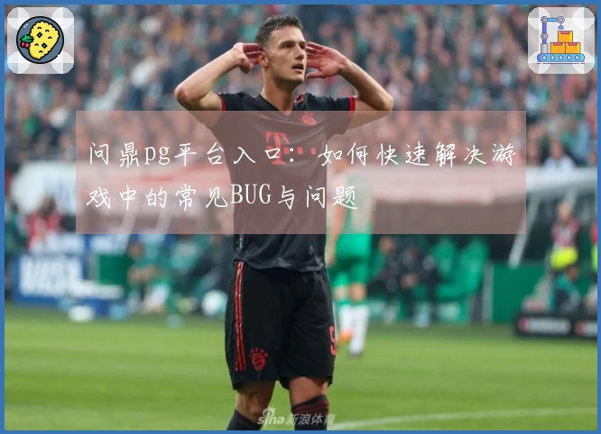 问鼎pg平台入口:如何快速解决游戏中的常见BUG与问题