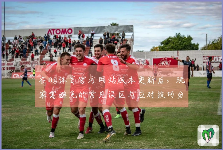 在ng体育官方网站版本更新后，玩家需避免的常见误区与应对技巧分享