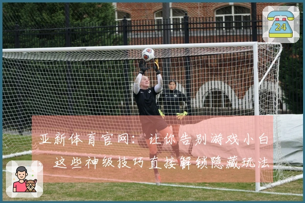 亚新体育官网：让你告别游戏小白，这些神级技巧直接解锁隐藏玩法！